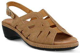 Shoe