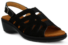 Springstep Shoe